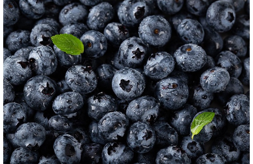 Mirtillo Selvatico (Vaccinium Myrtillis): proprietà, uso, controindicazioni